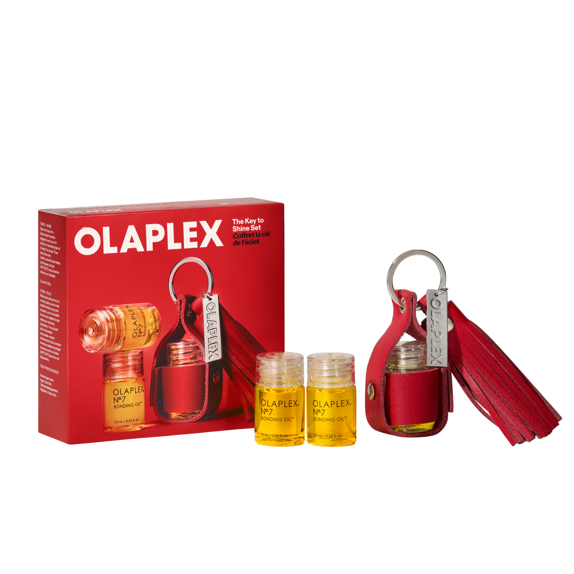 THE KEY TO SHINE SET